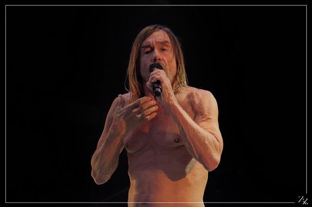 P7290704(2) Iggy Pop 29-07-2016 Zz (p).jpg